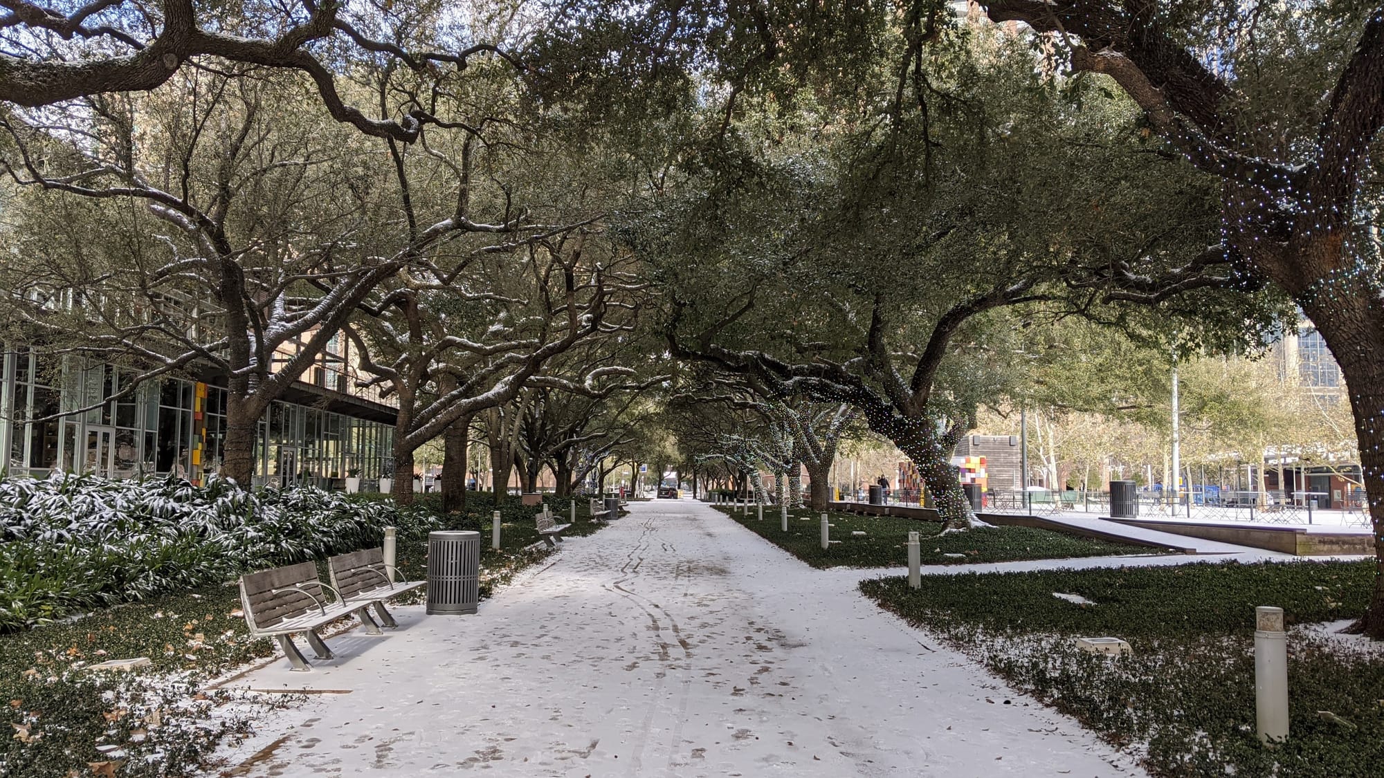 Tail of an Arctic Blast