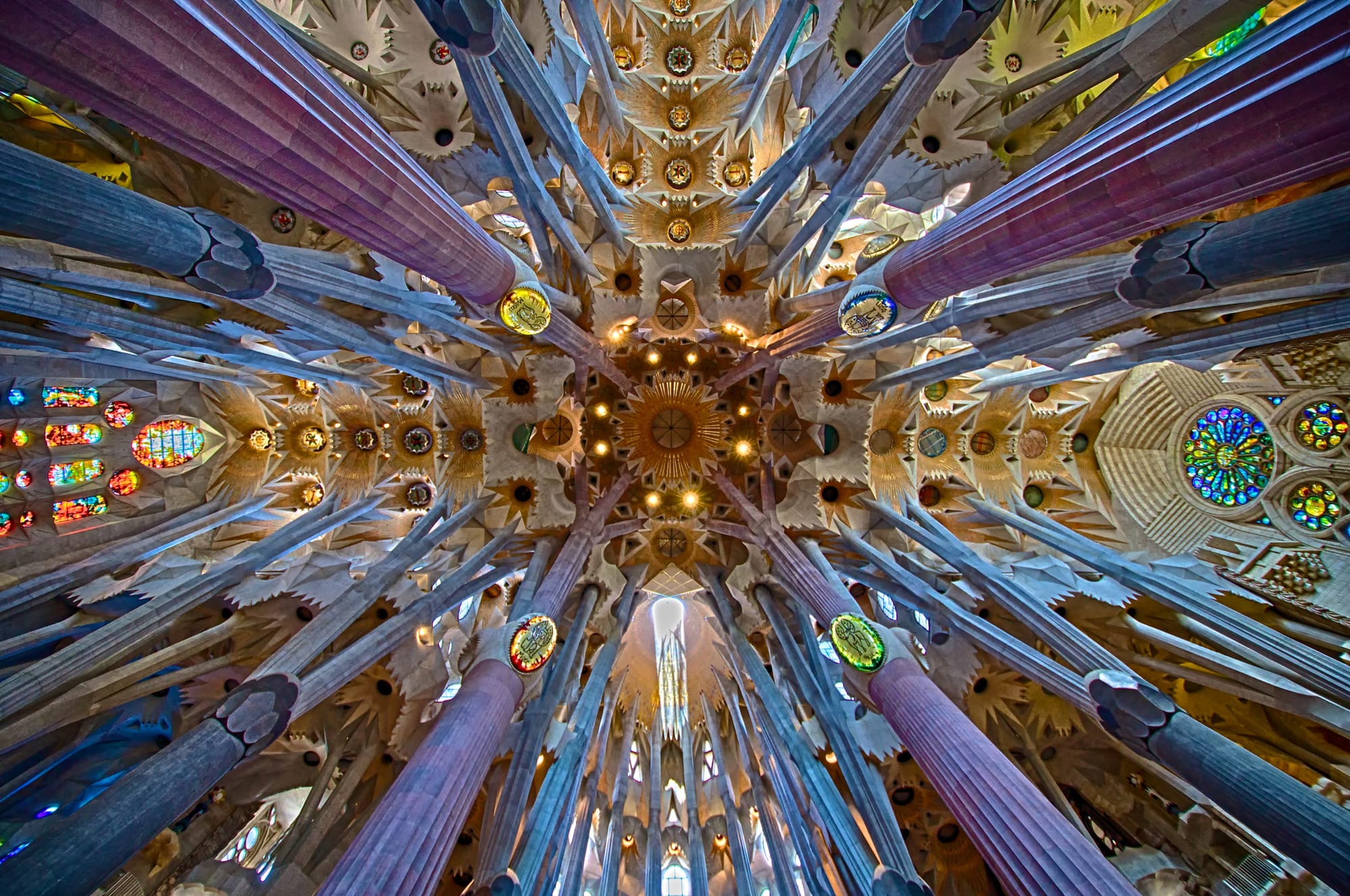 Coming Back to the Church