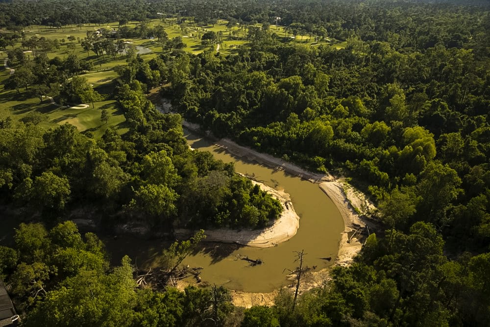 Rewilding Houston's Bayous