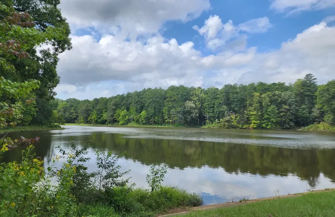 Will Clayton on Christianity, Carbon Markets, and Purpose