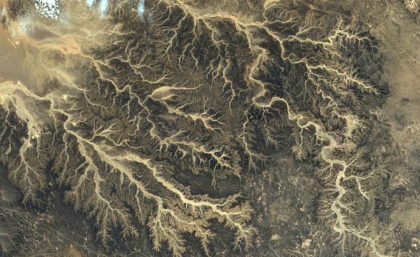 Scale in the Earth System