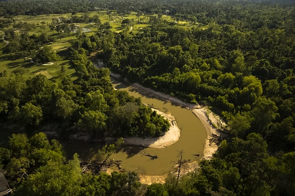 Rewilding Houston's Bayous